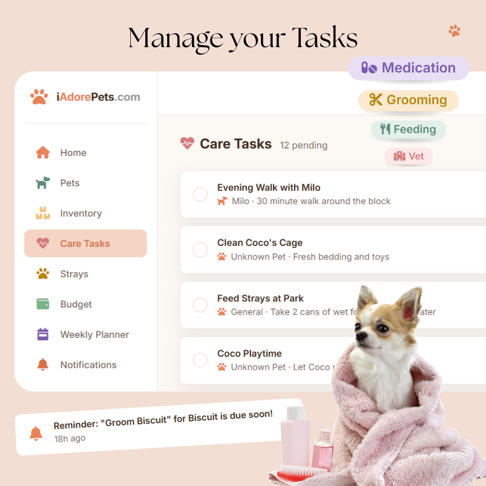 Pet Care Tracker 4