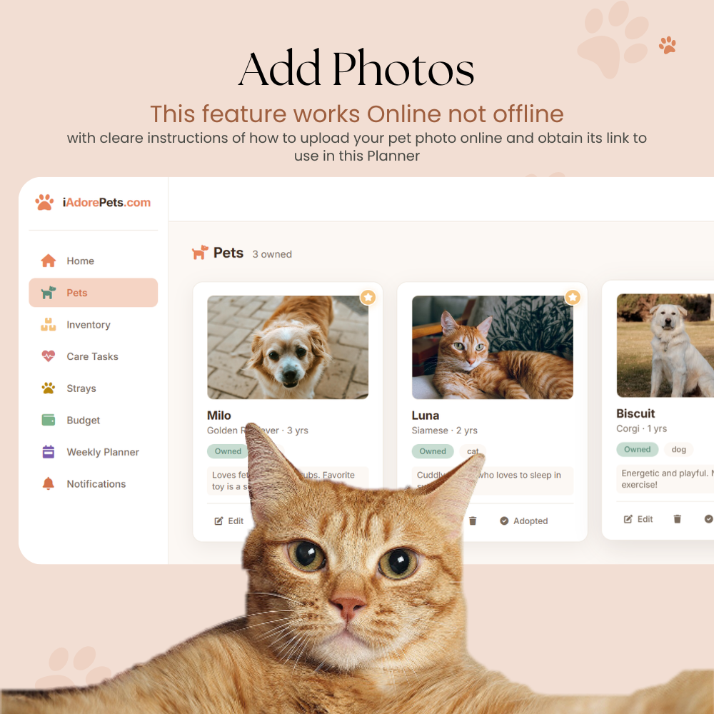 Pet Care Tracker 8